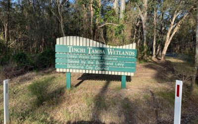 Aerial Mosquito Treatments