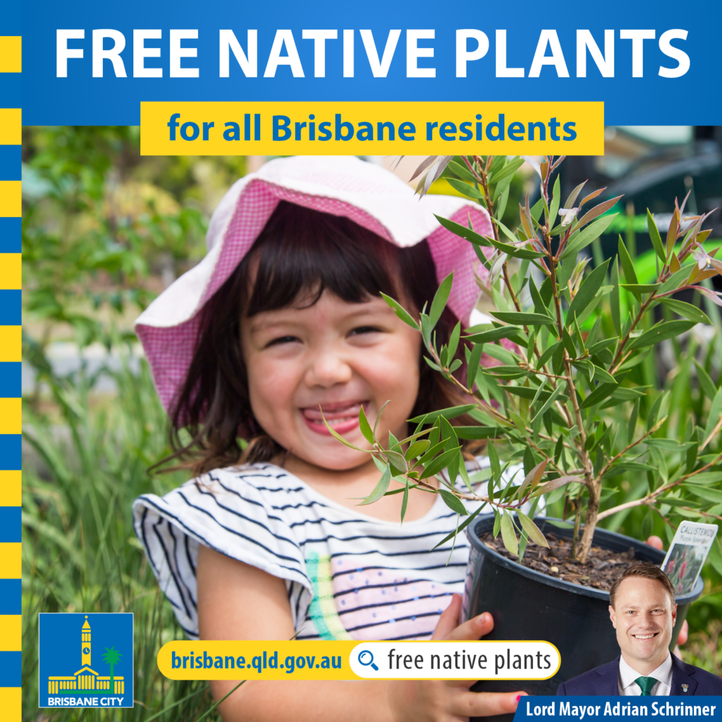 Free Native Plants - Councillor Sandy Landers