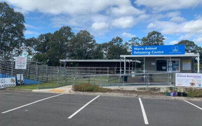 Warra Animal Rehoming Centre Upgrades