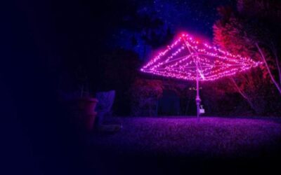Brisbane Festival 2020