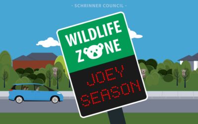 Wildlife Awareness Monitors ‘Joey Season’