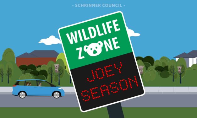 Wildlife Awareness Monitors ‘Joey Season’