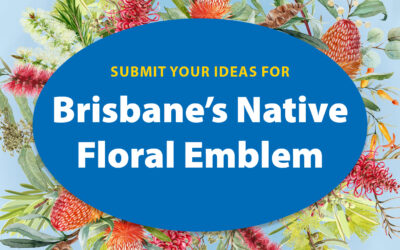 Brisbane residents pick new native floral emblem from the bunch