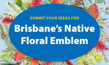 Brisbane residents pick new native floral emblem from the bunch