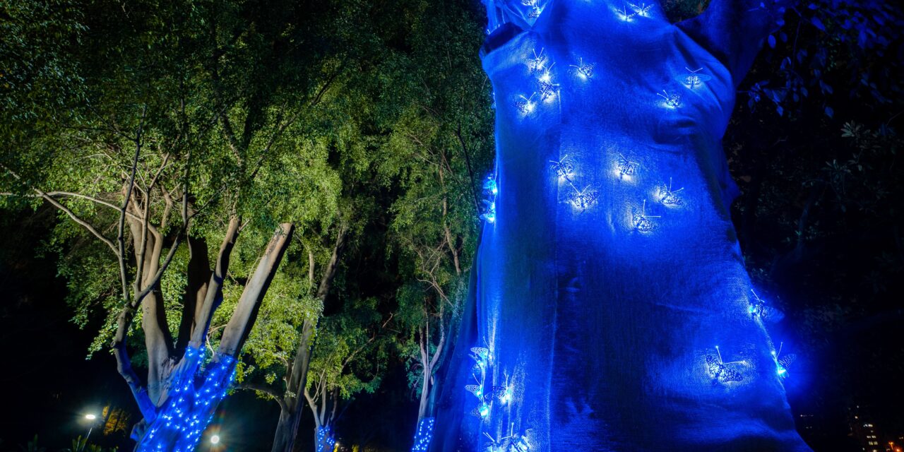 Free art exhibition lights City Botanic Gardens after dark
