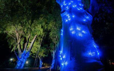 Free art exhibition lights City Botanic Gardens after dark