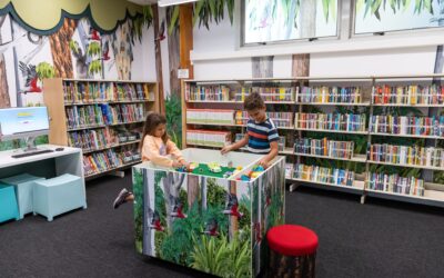 Bookworms back for more with record library visits in Brisbane