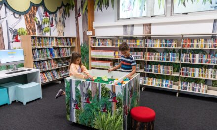 Bookworms back for more with record library visits in Brisbane