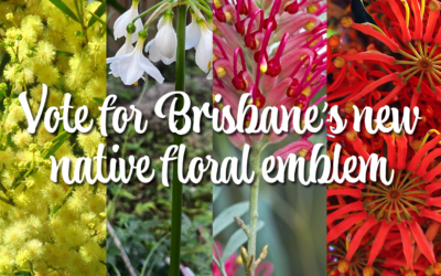 Excitement grows as floral emblem shortlist revealed for vote