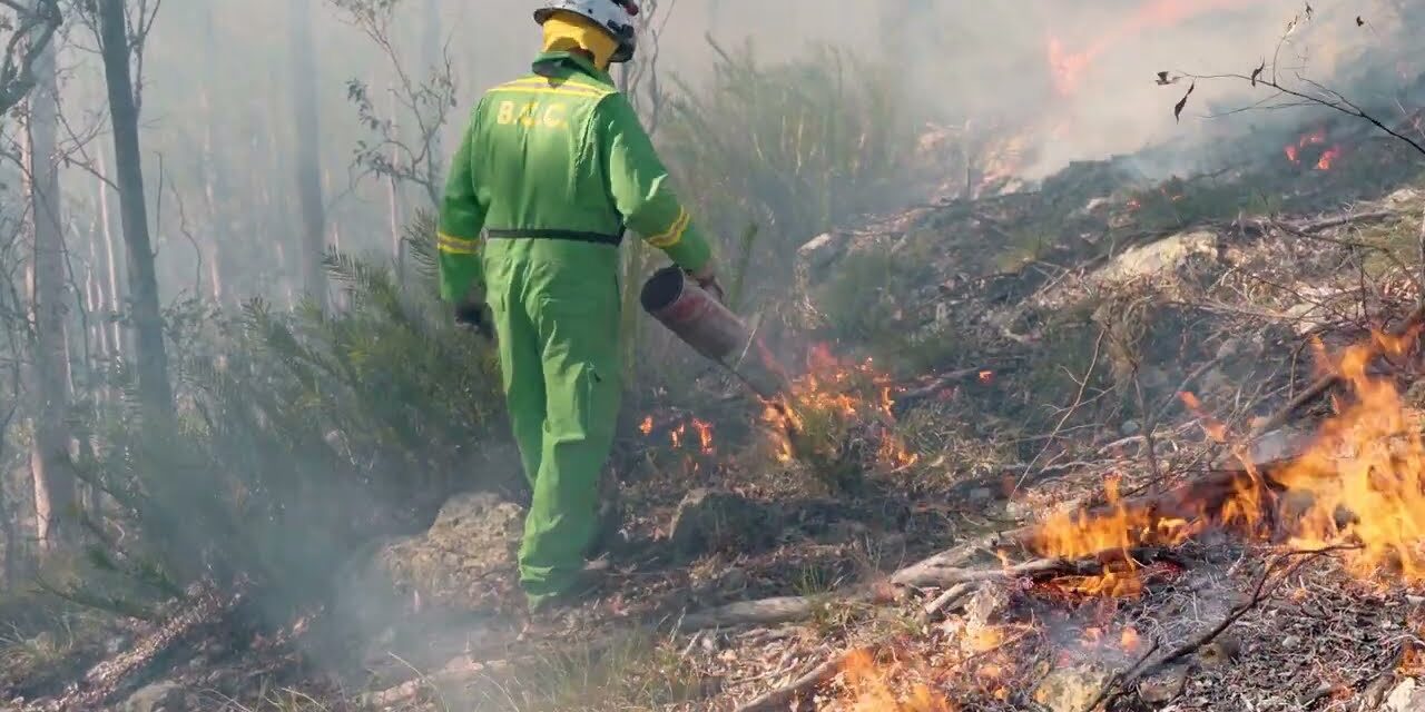 Planned burns underway as Brisbane prepares for Bushfire season