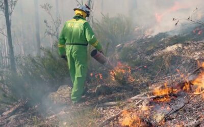 Planned burns underway as Brisbane prepares for Bushfire season