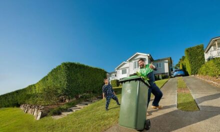 Budget backs citywide green bin rollout