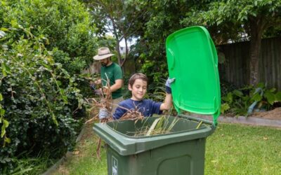 Citywide green bin rollout begins across Brisbane