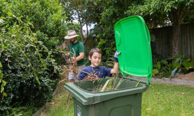 Citywide green bin rollout begins across Brisbane