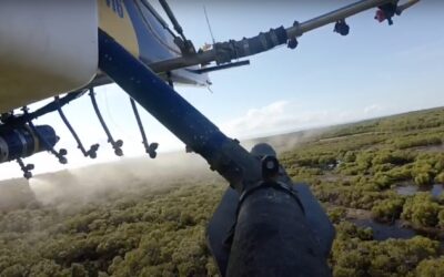 Aerial Mosquito Treatment- 1st February