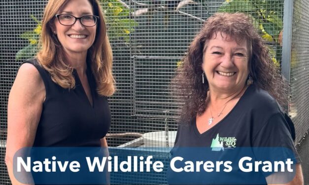 Native Wildlife Carers Grant OPEN